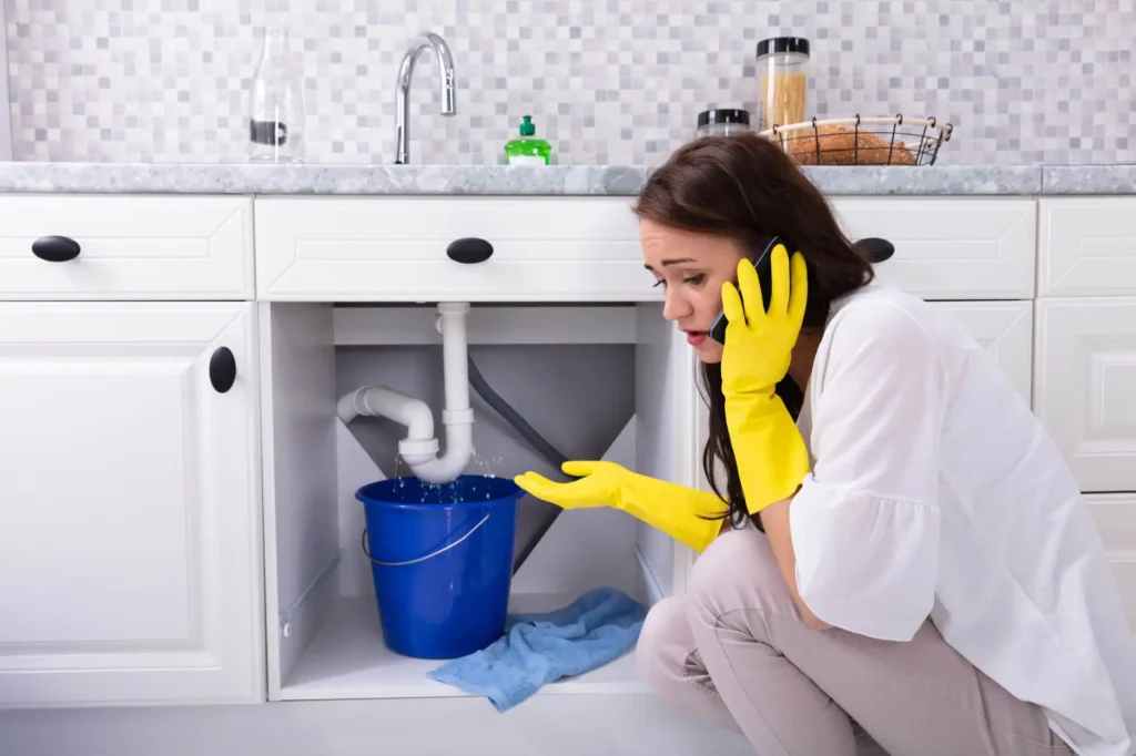 Emergency Plumber in Muscat for Immediate Solutions